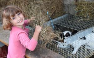 Sejours a la ferme Ferme Pedagogique 