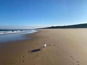 Chalets LANDES CHALET 8 personnes : photos des chambres