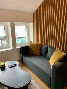 Appartements L Ecrin de Nancy : Appartement 2 Chambres