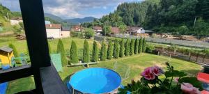 Casa Teodor Rucăr Casă de oaspeți