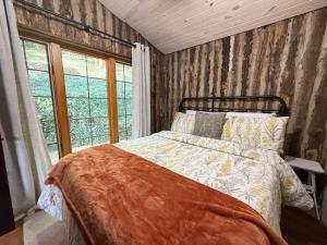 Lakefront Cabin-4BD3BADockHottubFirepitKayaks