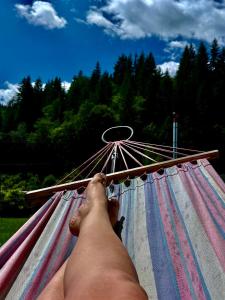 Casa Teodor Rucăr Casă de oaspeți