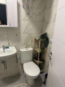 Apt 2- Sokobanjica apartmani