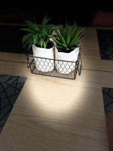 Appartements Relax - Lourdes : photos des chambres