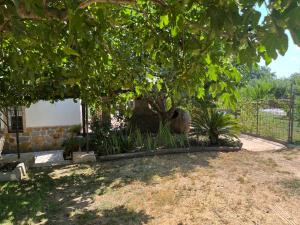 Casa de campo RuralRuñA