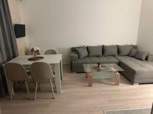 Apt 6- Sokobanjica apartmani