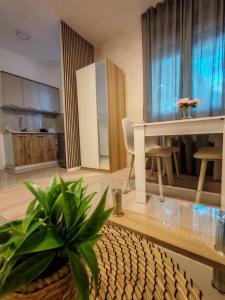 Apt 6- Sokobanjica apartmani