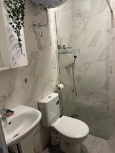 Apt 6- Sokobanjica apartmani