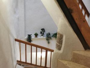 B&B / Chambres d'hotes Maison Romana : photos des chambres