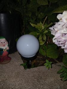 Apartment Flores centre