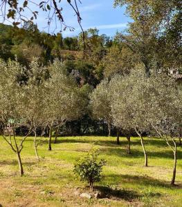 Maisons de vacances Maison Tropez : photos des chambres