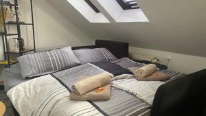 Wunderschöne großzügige Neustadtwohnung