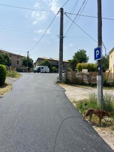Maisons de vacances A l-ombre de la vigne - Maison de famille en Ardeche meridionale : photos des chambres