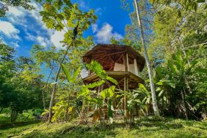 Finca Terra Incognita - Wood cabins in the jungle