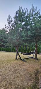 Biały domek nad jeziorem