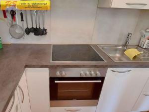 Apartment in Bad Mitterndorf - Steiermark 41116