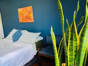 Best Habitaciones Tranquilas para ver luces en Usaquen