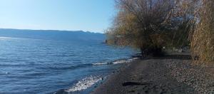 CabaƱas Quilacoyan entre Villarrica y Pucon