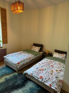 Apartament Zielona Kamienica