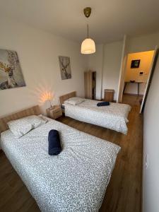 Appartement proche paris-aéroport Orly jardin privé