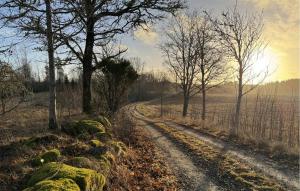 Beautiful Home In Årjäng With Sauna