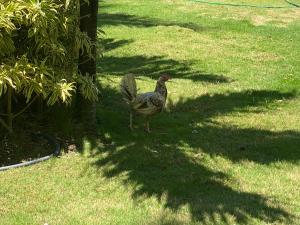 apartamento con piscina con vista al mar