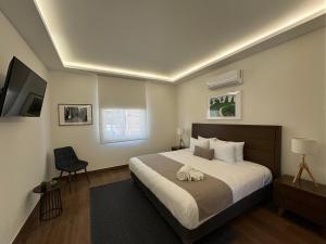 Casa Arcos Chapultepec