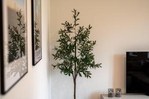 Ferienhaus-Lake-Residence-Mueritz