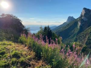 Appartements Apartment in Giez with Mountain Views : photos des chambres