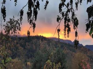 Appartements Apartment in Giez with Mountain Views : photos des chambres