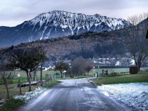 Appartements Apartment in Giez with Stunning Mountain Views : photos des chambres