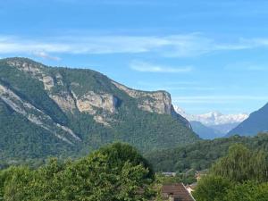 Appartements Apartment in Giez with Stunning Mountain Views : photos des chambres
