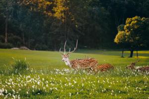 Gokarna Forest Resort Kathmandu