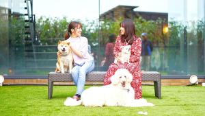 LiVEMAX Resort Izu Kogen Terrace & Spa - Strutture non classificate a Ito