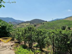 Maison F2 indépendante avec terrasse, climatisation et WIFI à Banyuls-sur-Mer - FR-1-309-262