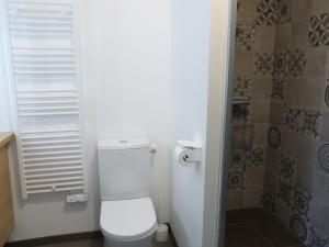 Appartement moderne 1 ch, animaux admis, accès plage, parking inclus - FR-1-194-299