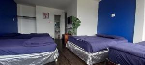 Thung Lũng Mơ - Dream Valley