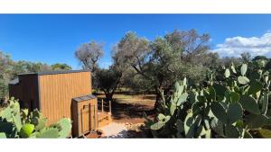 Il Nostro Sogno - Madonna by Tiny Away