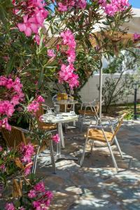 Joanna Apart - Hotel Patmos Greece