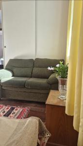 Linda e espaçosa casa no Centro de Santos Dumont-MG