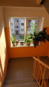 L.E.C. Travel Apartments Ventspils