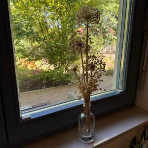 Elbinsel-Home ‘Alpakaliebe’