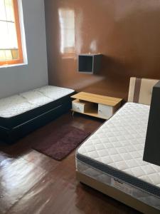 Bitterswiit Ladies Hostel
