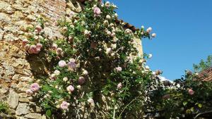 Maisons de vacances Le Clos des Songes : photos des chambres