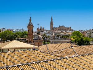 Ático Capricho de San Jorge