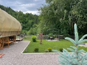 White Spring Glamping