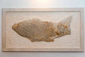 Beach Resort Apartments Podspiline