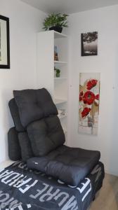 Appartements Studio independant universite ALBI Parking : photos des chambres