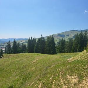 Pensiunea Panoramic Humor