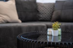 Elegant Central Suite